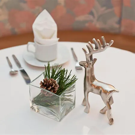 Aparthotel Burgus - Design & Burgusio